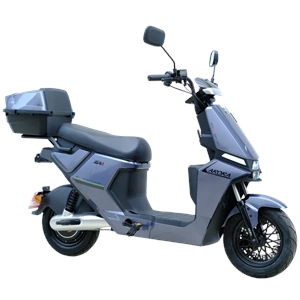 FRV-50 PEDAL DESTEKLİ ELK.BİSİKLET GRİ