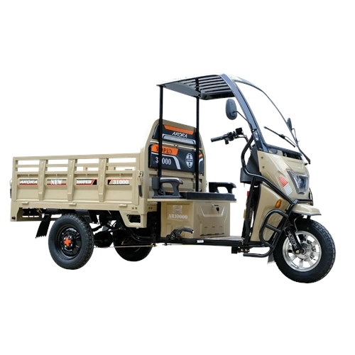ARORA AR10000 MOPED SARI 3 TEKER