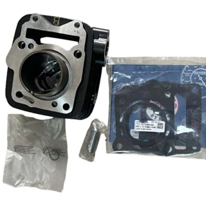 TVS RAİDER 125 SİLİNDİR KİT ORJİNAL N6321880